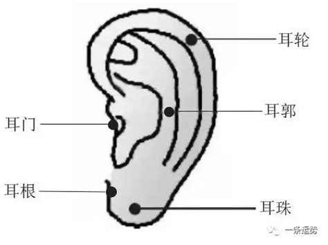 耳根痣|男人耳朵上有痣图解对照表 男人耳朵痣的位置与命运图